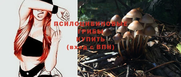 не бодяженный Зерноград