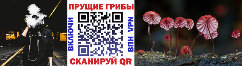 Псилоцибиновые грибы Magic Shrooms Радужный